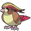 Pidgeot